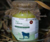 A2 Gir Cow Ghee